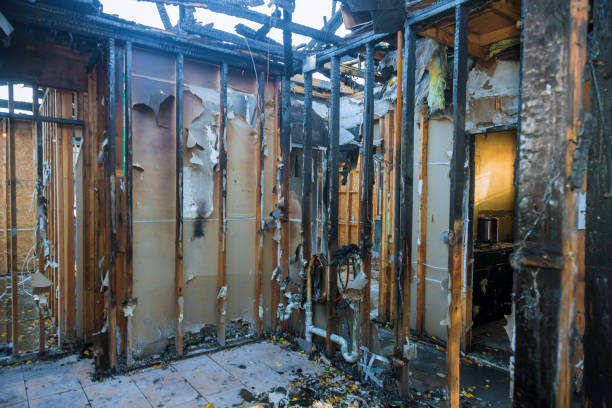 Professional Fire Damage Removal technician working in Excelsior, MN